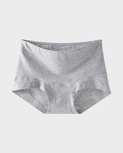Seamless Antibacterial Cotton Boxer Panties (5 Pack)