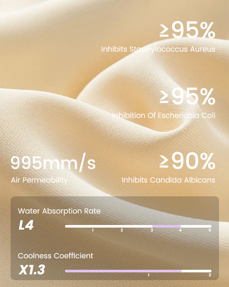 Smooth High-Waisted Sheer Lace Sculpting Brief (2 Pack)